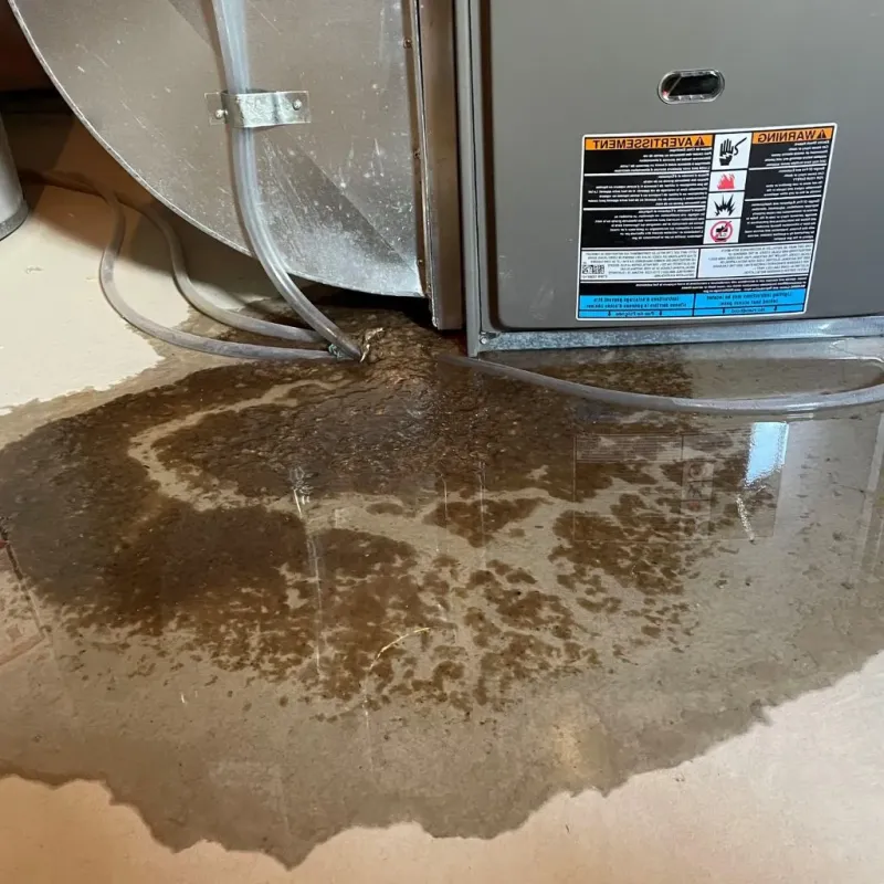 Pipe Burst and Leak Restoration in Buckner, KY