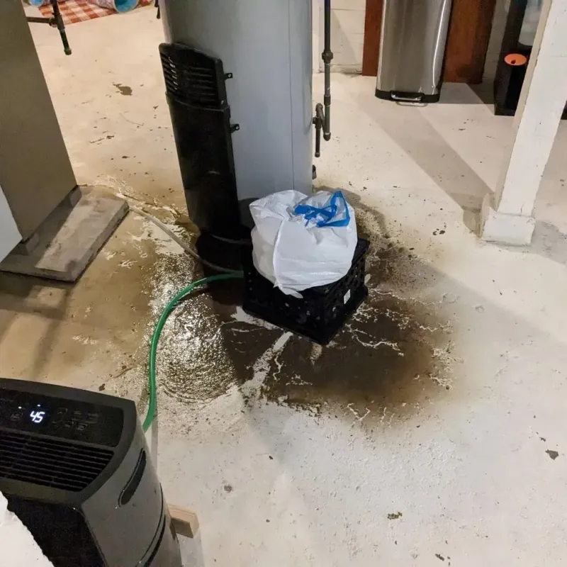Sewage Backup Cleanup Service in Buckner, KY